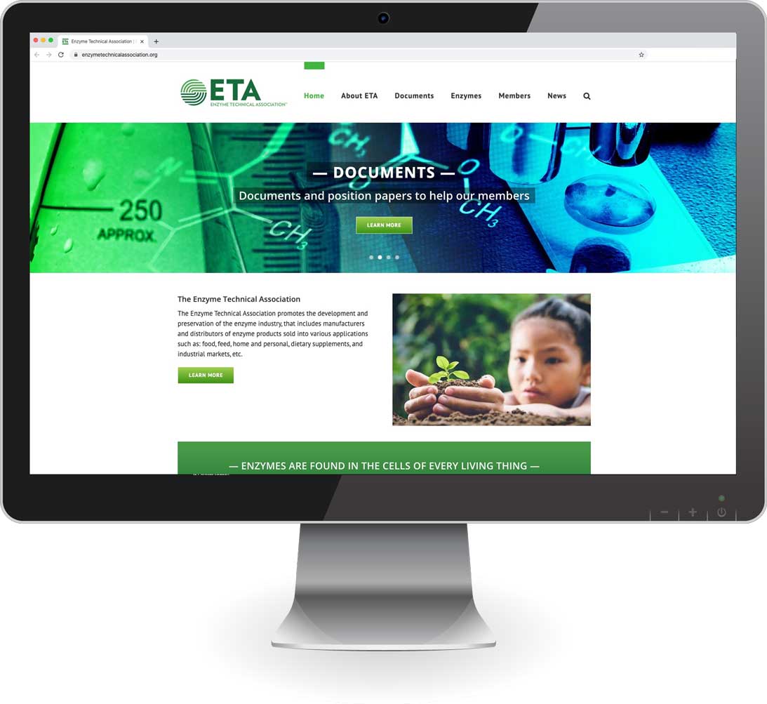 Desktop Version of Website